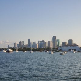 a large body of water with a city in the background
