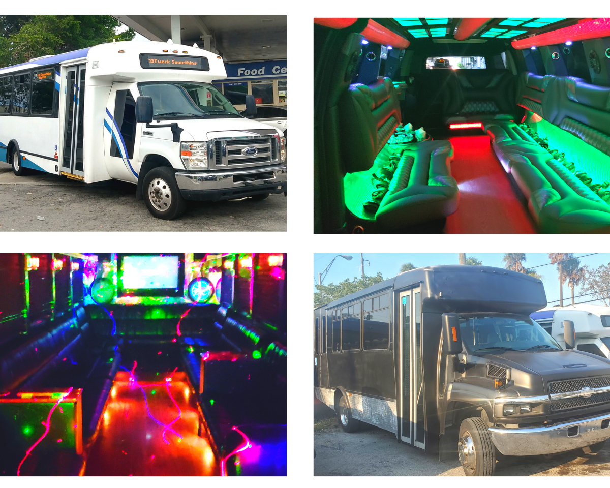 Buses Buses